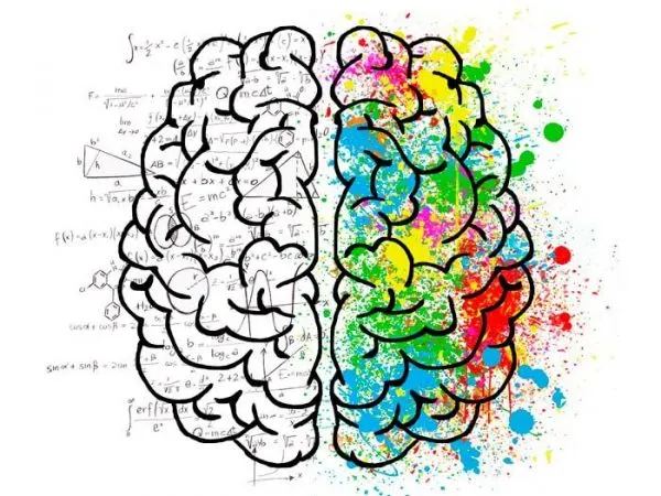 Imagen del curso Psicología de la imagen